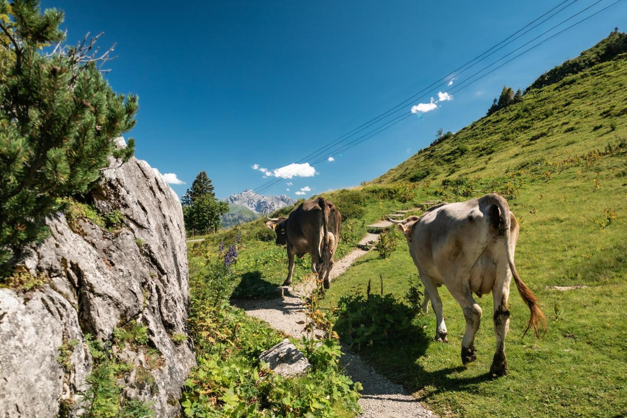 Ferienhaus Geiger Oberstdorf Luaran gambar